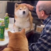 優しいおじいちゃんでした♡