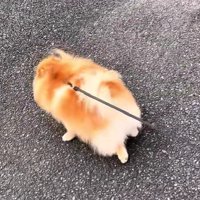 いつもと違う方向に行ってる！？