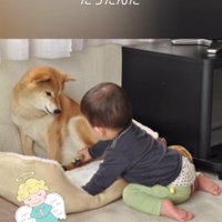 とっても優しい子だったとか