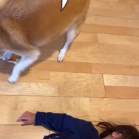 遊び方をレクチャー