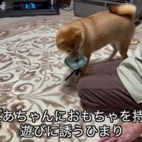 親睦を深めた2人