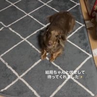 お利口さんすぎるうみさん