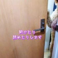扉で遊ぶラキちゃん