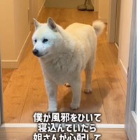 風邪を引いて寝込んだら…