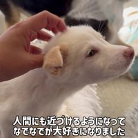 人間とも徐々に距離が縮まった