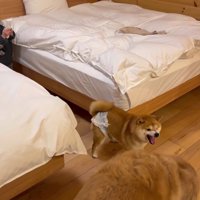 リモコンが欲しかっただけだった！