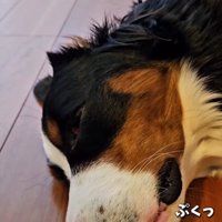 痙攣する都ちゃん