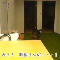 バレてしまいました！