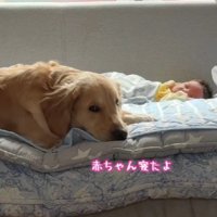 「もう寝たよ」