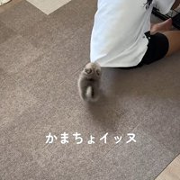 思わず悶絶してしまう♡