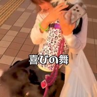 全身を使った愛情表現