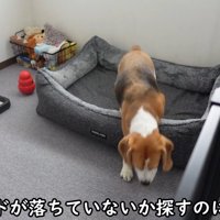 出勤前のママさんとメイちゃん9