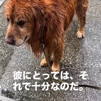 立ったまま動かないチェスターくん