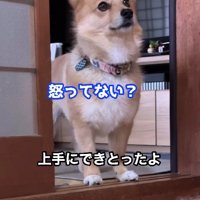 「ほんとに？」