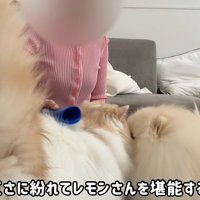 ポテチくんがお顔をスリスリ♪