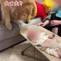 甲斐甲斐しく面倒を見る