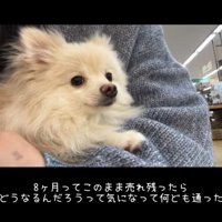 家族として迎えることに