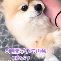 二本足で立ち上がって…