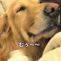 まるちゃんとママさんの再会8