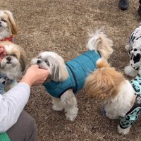 みんなでオヤツタイム♪