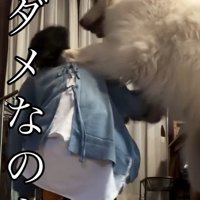 ママを押し倒すシェリーちゃん
