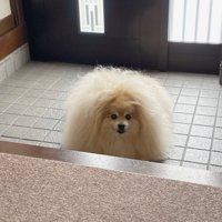 一瞬