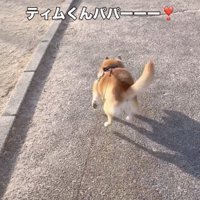 ダッ！！