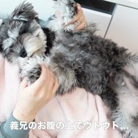 旦那さんと一緒にお昼寝♪