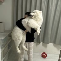 衝撃