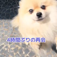 ますお君の熱烈歓迎9