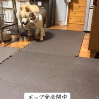 アタックする光太くん