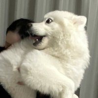 驚き