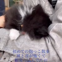 腕の中に隠れるレイくん