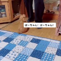 おばあちゃんが大好きに！