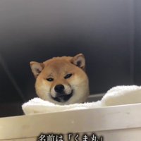 そう考えていたけれど…