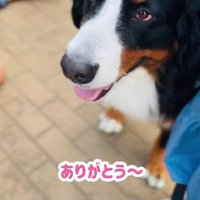 待ってたら会えた！！