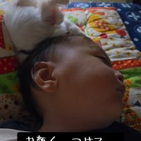 寄り添って眠る小型犬と赤ちゃん