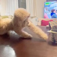 なかなか届かず…
