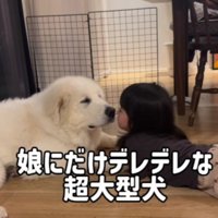 女の子への愛が止まらない