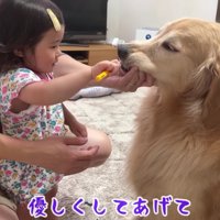 上手に磨けたね