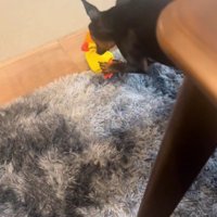 長持ちはしているけれど…