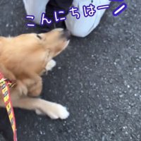 声を掛けられるゆずくん