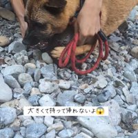 引き剥がそうとしたら…