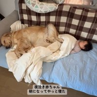 エマちゃんがついていてくれる♡