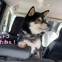 翌日、原っぱのある場所に到着