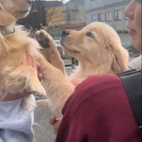 みるくちゃんともご挨拶