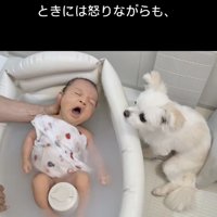 沐浴も見守ります