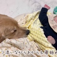 やっと眠れたね