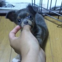 親を説得してお迎え