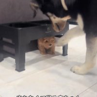 「今助けてあげるね！！」